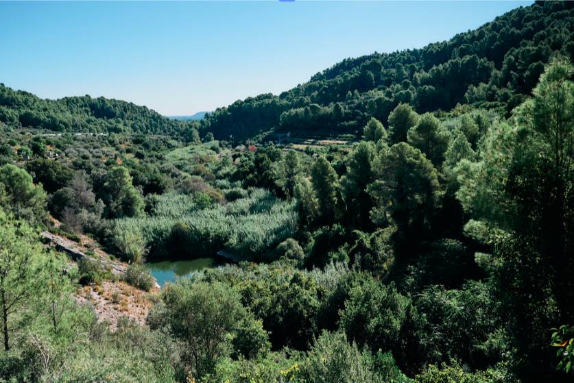 Excursión a la montaña